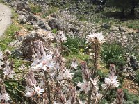 2017-04-09 12-51-05 3cf945c8  and again